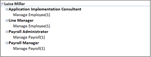A segment of an access model worksheet displays roles assigned to a user that may conflict with one another.