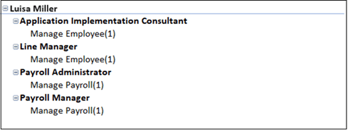 A segment of an access algorithm worksheet displays roles assigned to a user that may conflict with one another.