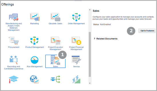 Offerings page highlighting the Sales offering and the Opt In Features button