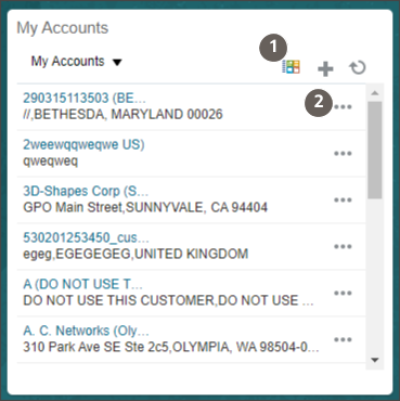 Screenshot of My Accounts Workspace infolet.