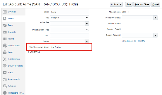 Edit Account page with the Chief Executive Name field. The field appears in the Account region.