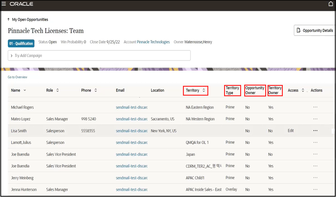 Sample screenshot of the Team detail page for an opportunity when you click View All Team from the Team foldout panel.