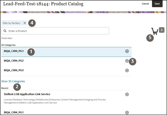 Sample screenshot of product category for Leads