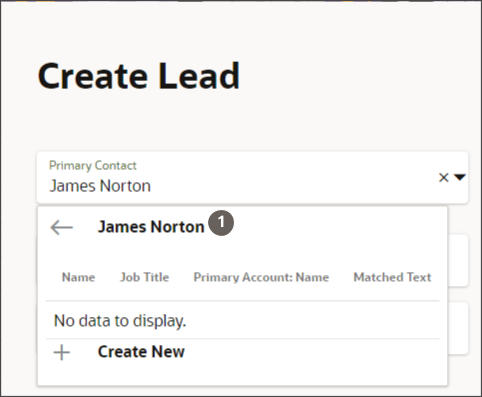 Create Lead page with Contact field drop-down showing what to select to enter the contact without crating a contact record.