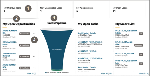 Sales Dashboard for sales representatives highlighting different regions explained in the text