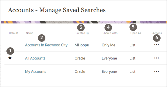 The Manage Saved Searches page for Accounts