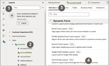 Screenshot highlighting the expanded Accounts node and the Summarize Layout dynamic form