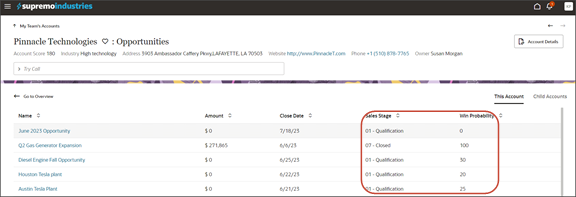 This is a screenshot of the Opportunities subview, accessed from the Opportunities panel on the Account detail page.