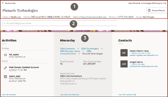 Screenshot of a sample account record