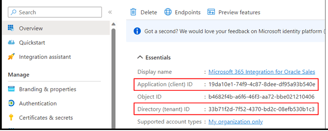 Screenshot highlighting the Application (client) ID and Directory (tenant) ID