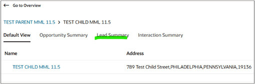 Screenshot highlighting the Lead Summary heading