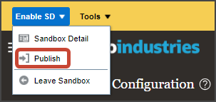 This screenshot illustrates how to publish a sandbox.