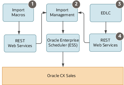 Architecture of the different import methods described in the text.