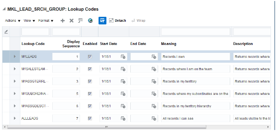 Lookup Codes region of the Manage Standard Lookups page for the Lead Search Filter Record Sets lookup type showing some of the lookup codes and values.