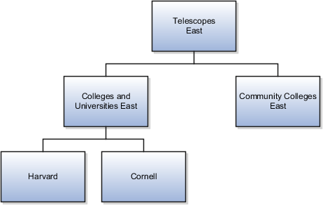 Telescopes East Territory Hierarchy
