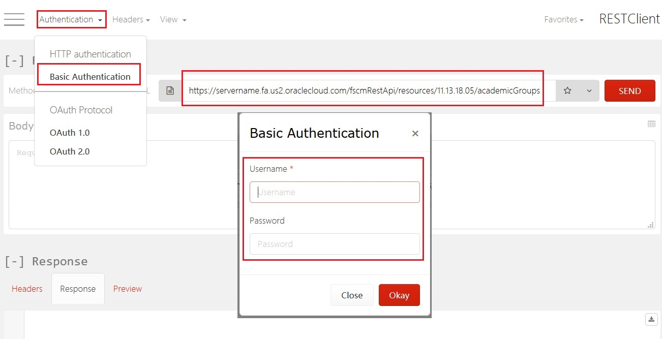 REST client browser extension example with basic authentication, user name, and password