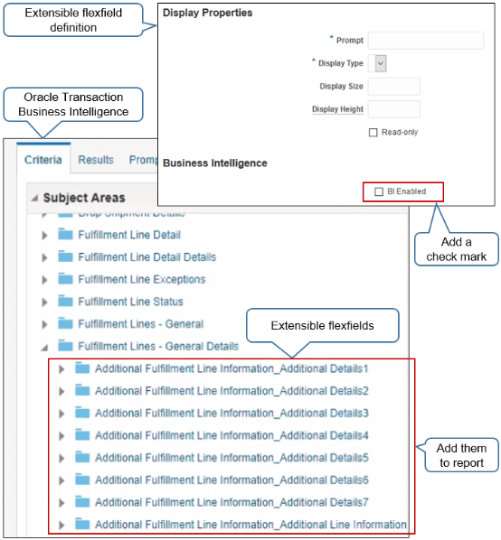 guidelines when you display extensible flexfield data in OTBI