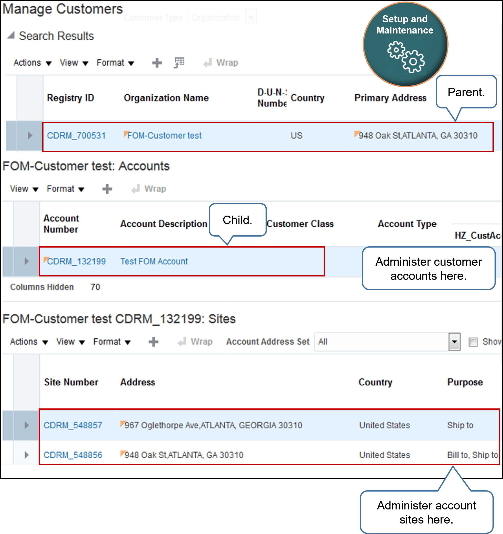 Manage Customers in Setup and Maintenance.