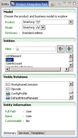 Image showing the Dictionary tab in the Product Integration Pack View window.
