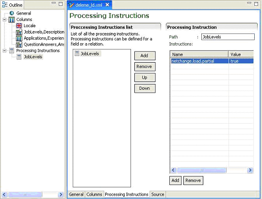 Image showing the Processing Instructions Tab window.