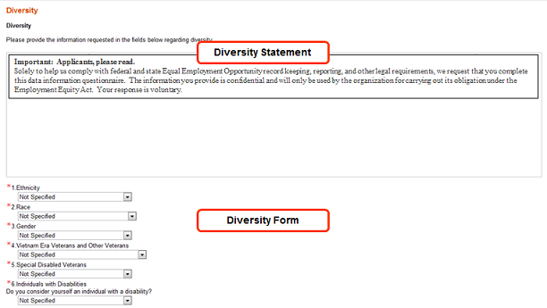 Image showing an example of a diversity form with a diversity statement in a career section.