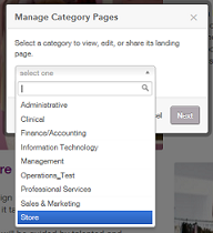 The image shows the menu for the Category Landing pages. The Store category is highlighted.