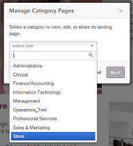 The image shows the menu for the Category Landing pages. The Store category is highlighted.