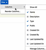 Displaying Columns for Filters