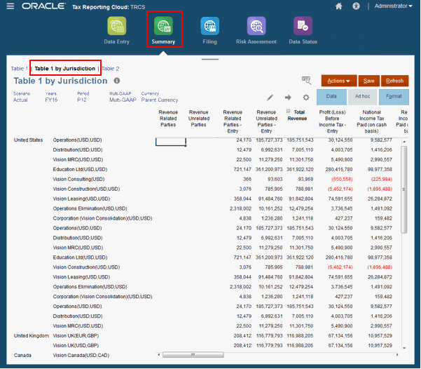 CbCR Table 1 Details Summary screen