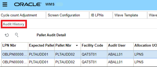 Image of the Audit History screen.