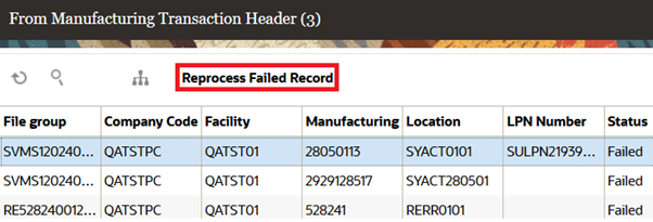 Reprocessing Failed Record