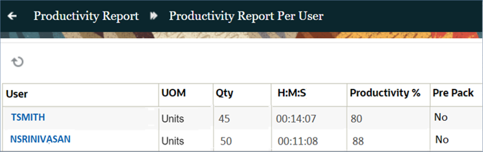Productivity Report per User