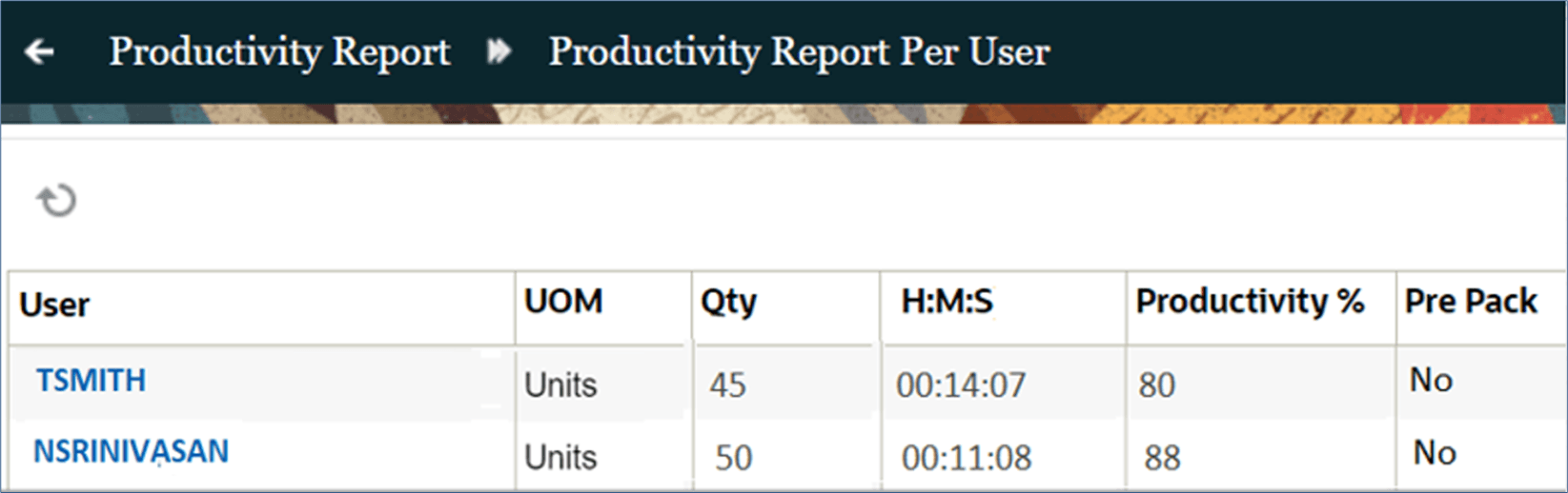 Productivity Report per User