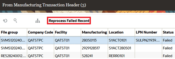 Reprocessing Failed Record