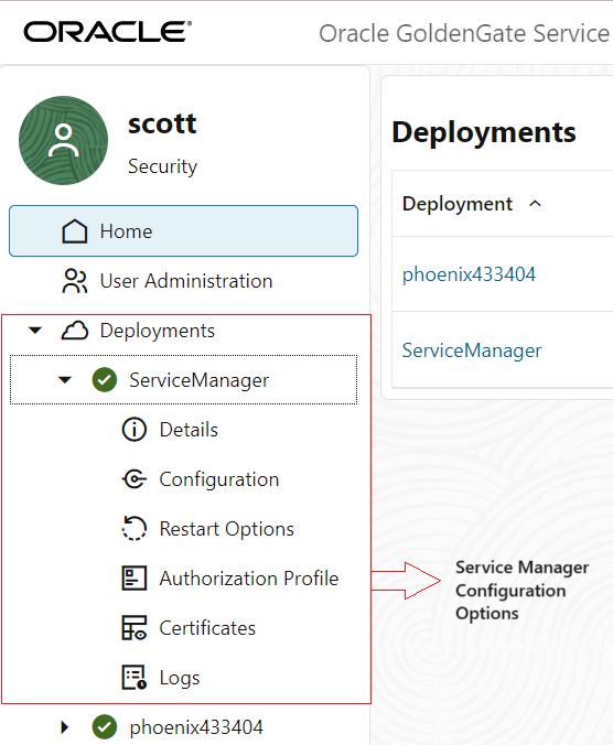 Service Manager Configuration options