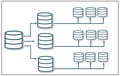 Central database with a headquarter sending data to state, which in turn sends data to the County level. Central database with a headquarter sending data to state, which in turn sends data to the County level.