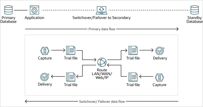 Description of live_standby_overview.jpg follows Description of live_standby_overview.jpg follows