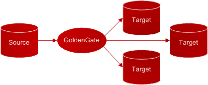 Description of image follows
