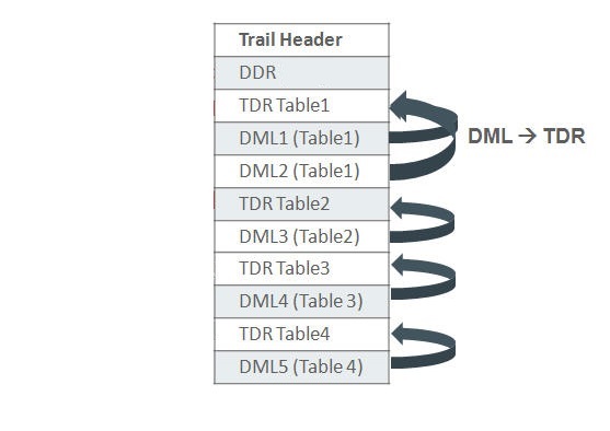 Description of tdr_ddr.jpg follows