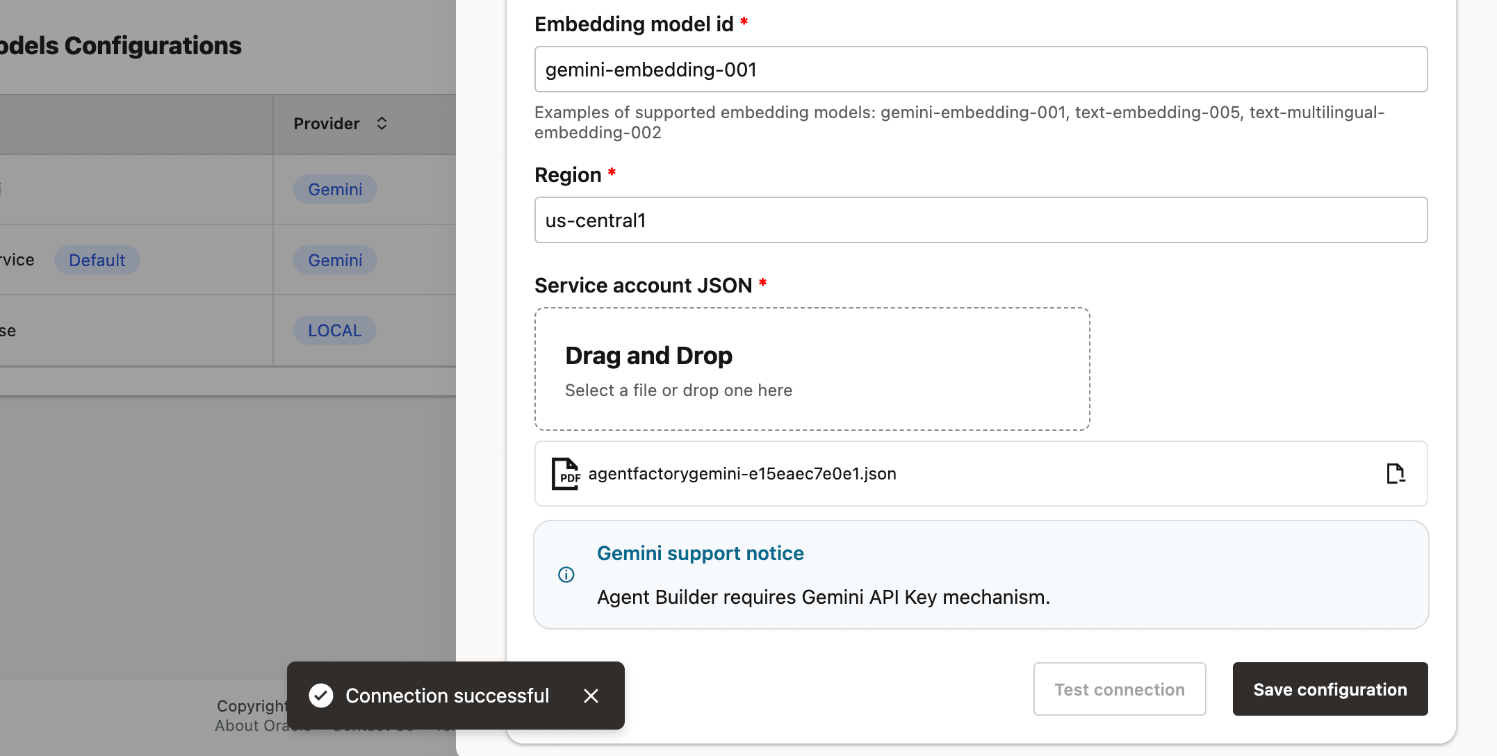Gemini Embedding Model Configuration