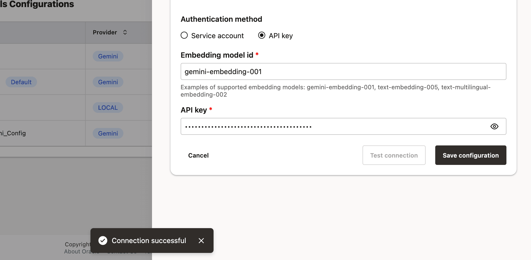 Gemini Embedding Model Using API Key Authentication Successful Gemini Embedding Model Configuration