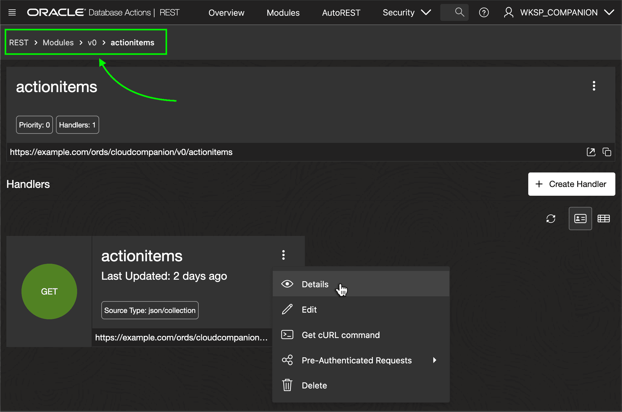 Listing Handlers for a Template in SQL Developer Web