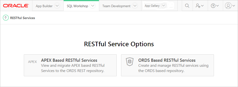 Description of r_services_options.png follows
