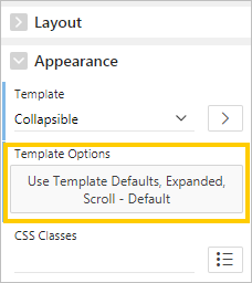 Template Options button
