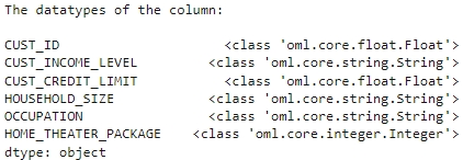 Shows the datatypes of columns