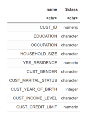 This image shows the datatype of the columns in CUST_DF with the @desc operator This image shows the datatype of the columns in CUST_DF with the @desc operator