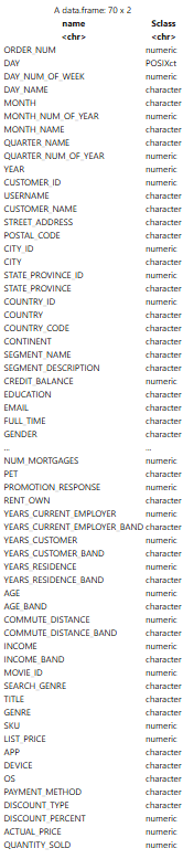 Displays the data types of the attributes in the dataset.