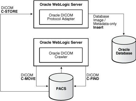 Файл настроек логгера для dicom storage