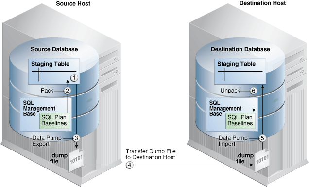 Description of Figure 29-2 follows