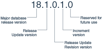 Description of Figure 1-2 follows